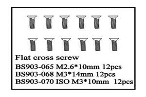 Flat Cross Screw(ISO3*10)   12 PCS (BS903-070)