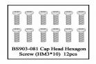 Cap Head Hexagon Screw(HM3*10)   6 PCS (BS903-081)